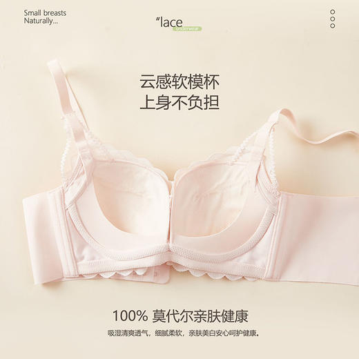 小红书推荐蕾丝内衣女学生专用上托小胸聚拢防下垂舒适无钢圈性感蕾丝收副乳文胸罩 商品图3