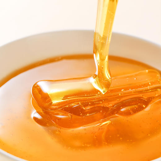 【助农】江城百臻黄陂荆蜜500g 商品图3