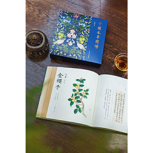中国本草图谱 全彩本草插图，古诗文和通俗的本草知识，珍藏赠礼 商品图5
