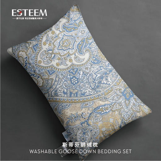 斯蒂芬可水洗鹅绒枕 商品图0