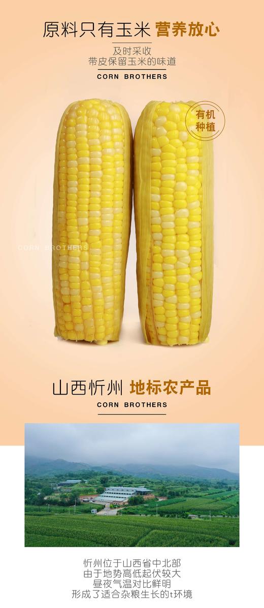 玉米兄弟®有机黑&黄糯玉米，拆袋开水煮15分钟即使，软糯香到极致。 商品图3