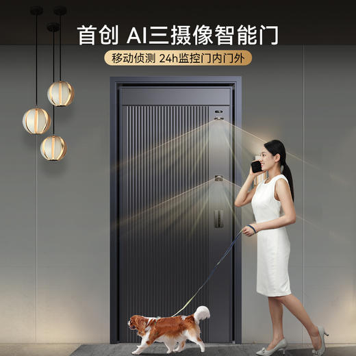 亚太天能家用可视防盗智能门进户门指纹人脸识别全自动入户大门 商品图2