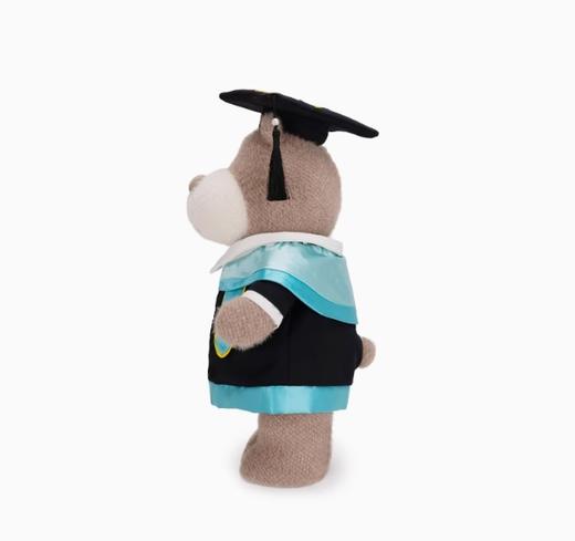 小熊汉斯前程似锦 商品图2