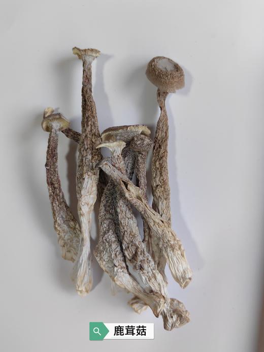 菌汤包  通道特产原生态健康品 来自大山的馈赠 精挑细选 润福干货 70克一包 商品图5