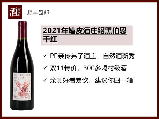 【特价】2021年法国勃艮第嬉皮酒庄绍黑伯恩干红 商品图0