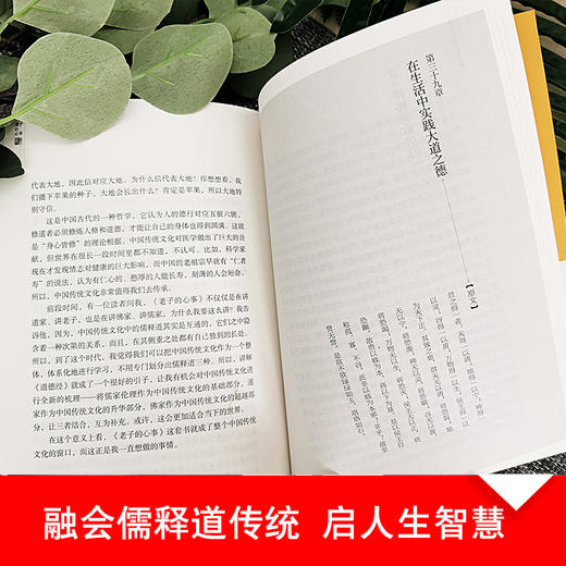 【老子的心事：雪煮《道德经》】（套装四册） 商品图5