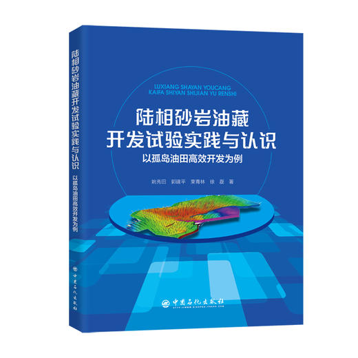 陆相砂岩油藏开发试验实践与认识：以孤岛油田高效开发为例 商品图0