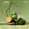 【已绝版】寻仙葫芦车载香薰-苔藓与柑橘 商品缩略图0