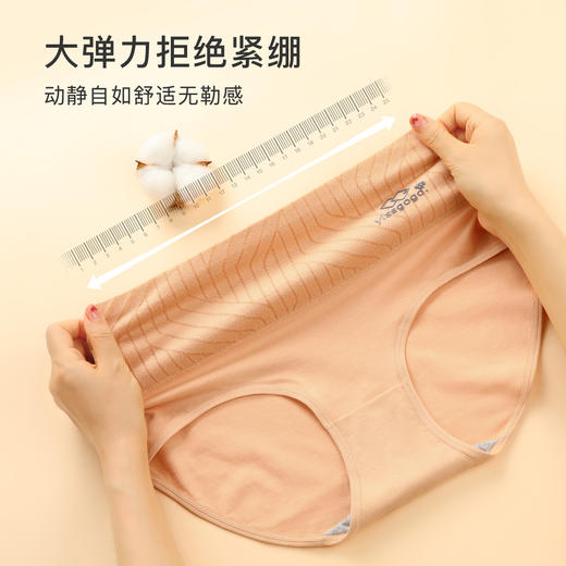 【加大码4条装】高腰轻收腹纯棉裆内裤女棉柔舒适全包臀不勒印花腰头内裤4条装 商品图6