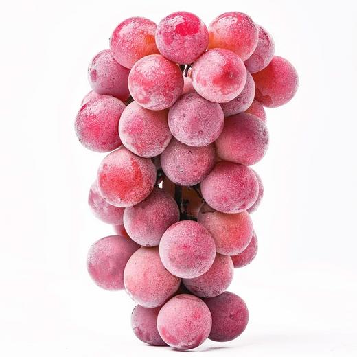 MM 山姆 妮娜葡萄 1.36kg 商品图1