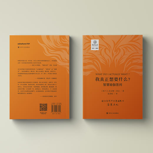 瑜伽文库•我真正想要什么？——智慧瑜伽答问/正念系列 商品图1