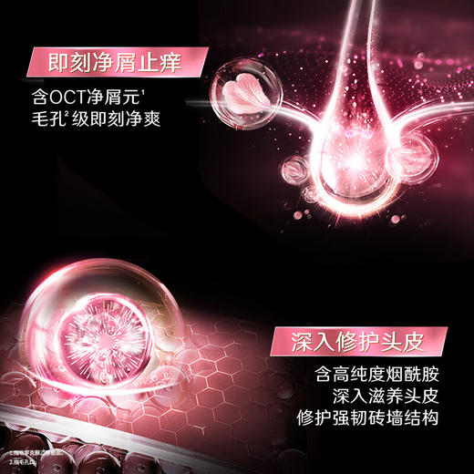 清扬去屑洗发露樱花香型500g 商品图3