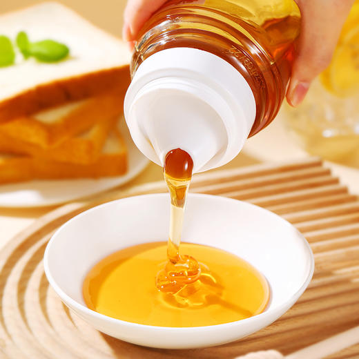 【助农】江城百臻黄陂荆蜜500g 商品图2