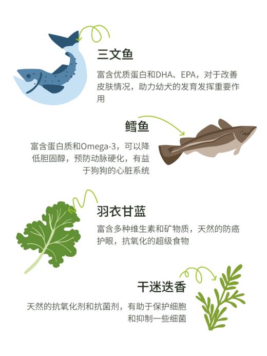 Healing Margo/【毛糙修复&孕期稳膳】健脑美肤双重生长鱼肉配方 商品图1