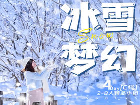 【冰雪梦幻C线4天3晚】2-8人精品小团/散拼| 冬季相约东北东北经典小环线！