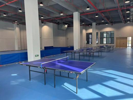 西区体育公园乒乓球一张球台/小时（周一至周五） 商品图0