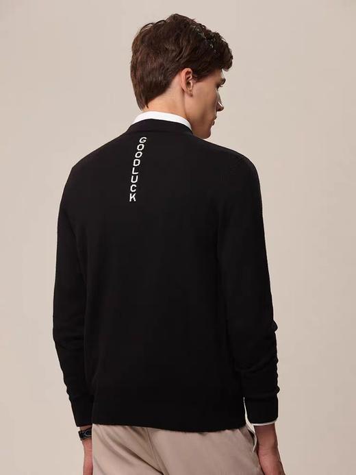 德鲨24秋冬新品纯色100羊毛圆领针织衫  时尚基础打底衫LR03233 商品图3