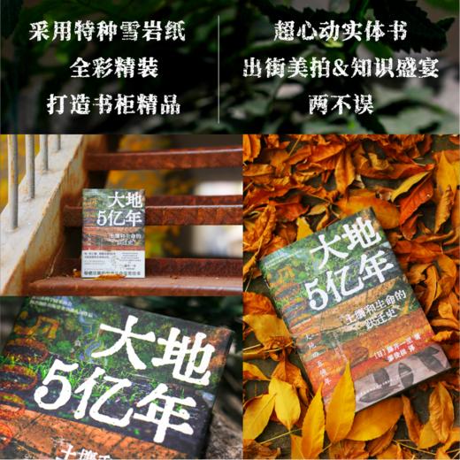 大地5亿年：土壤和生命的跃迁史【中国纺织出版社】 商品图3