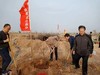山西丹霞苹果5斤/箱（单个大果130g以上） 商品缩略图5