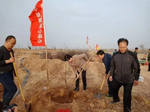 山西丹霞苹果5斤/箱（单个大果130g以上） 商品图5
