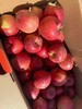 山西丹霞苹果5斤/箱（单个大果130g以上） 商品缩略图8