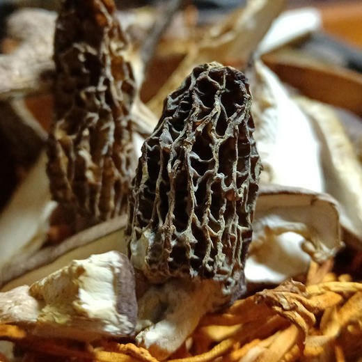 【逐南味】云南山珍菌汤包（升级版） 特别添加羊肚菌鸡油菌 7种优质菌菇 白水煮都醇美鲜甜 商品图5