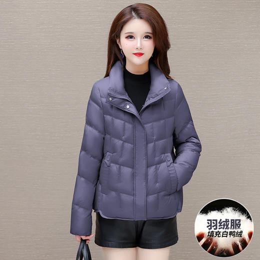 QYM 24DB87-L纯色简约修身时尚小个子立领羽绒服 商品图2