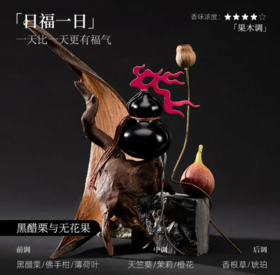 【已绝版】寻仙葫芦车载香薰-黑醋栗与无花果