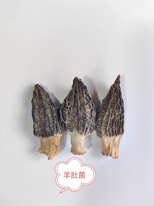 菌汤包  通道特产原生态健康品 来自大山的馈赠 精挑细选 润福干货 70克一包 商品图4