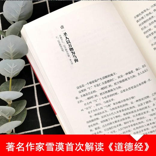 【老子的心事：雪煮《道德经》】（套装四册） 商品图6