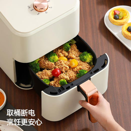 龙的空气炸锅LD-KL5068 商品图0