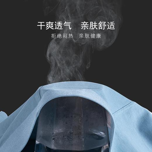双11活动到手5条 60支皮马棉无痕男士内裤吸湿透气抗菌裆平角内裤 商品图3