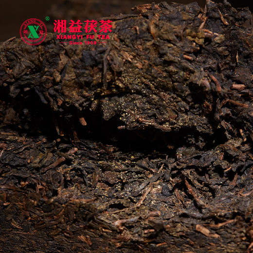 安化黑茶 | 湘益 2024年新款 红丝带 茯茶 400g/砖 商品图5