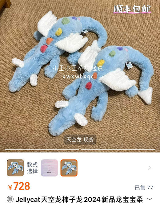 原单正品超漂亮的天空龙50cm/66cm101908 商品图3