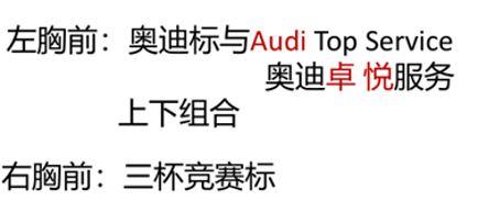 奥迪三杯竞赛皮肤衣（L） 商品图2