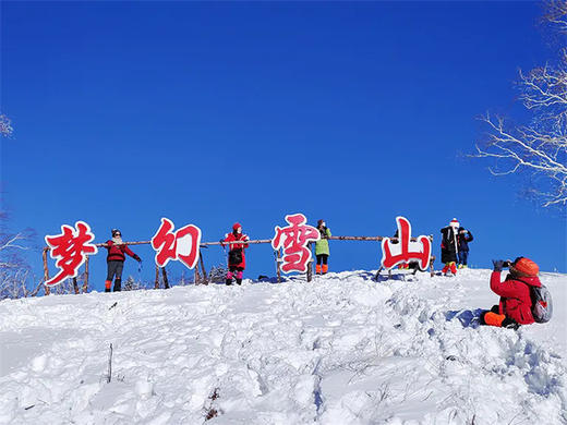 【冰雪梦幻C线4天3晚】2-8人精品小团/散拼| 冬季相约东北东北经典小环线！ 商品图7