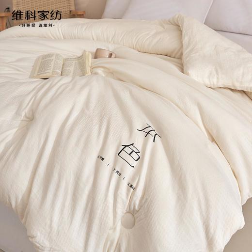 【维科家纺】超软糯~大豆纤维被子冬被加厚保暖秋冬季被芯学生宿舍棉被丝棉被 商品图3