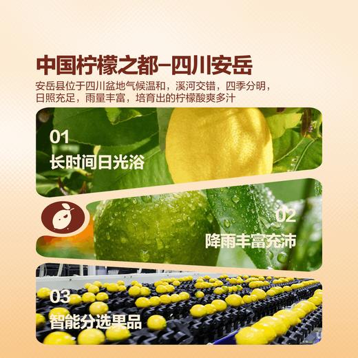 MM 山姆 Jumbo大颗黄柠檬 1.36kg 商品图4