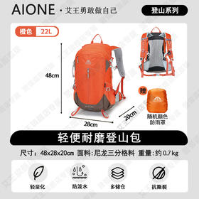 艾王 轻量化防泼水悬浮背负22升双肩包 2412