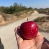 山西丹霞苹果5斤/箱（单个大果130g以上） 商品缩略图0