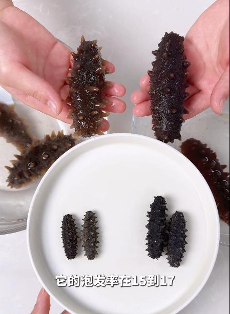 【视频版】小助理现场教学，手把手教你泡发国标底播三级淡干辽参 商品图0