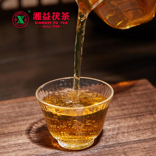 安化黑茶 | 湘益 2024年新款 红丝带 茯茶 400g/砖 商品图4