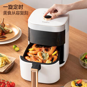 龙的可视空气炸锅LD-KL3931