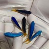 黄尾蓝魔Chrysiptera Parasema 商品缩略图0