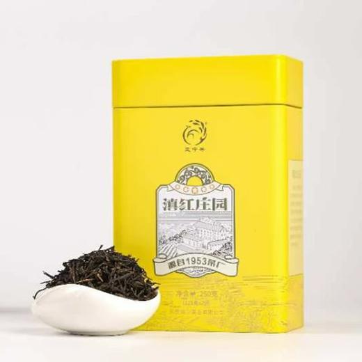 滇红茶 |  凤宁号 2024年 滇红庄园黄罐 一芽一叶原料 250g/罐 商品图1