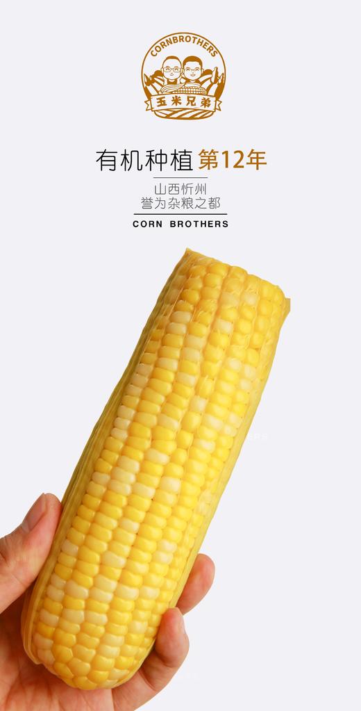 玉米兄弟®有机黑&黄糯玉米，拆袋开水煮15分钟即使，软糯香到极致。 商品图2