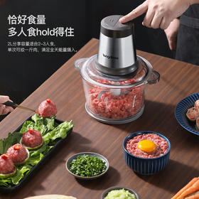 龙的绞肉机LD-KM206