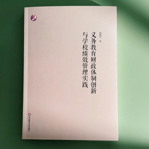 义务教育财政体制创新与学校绩效管理实践 胡耀宗 公共教育 商品图1