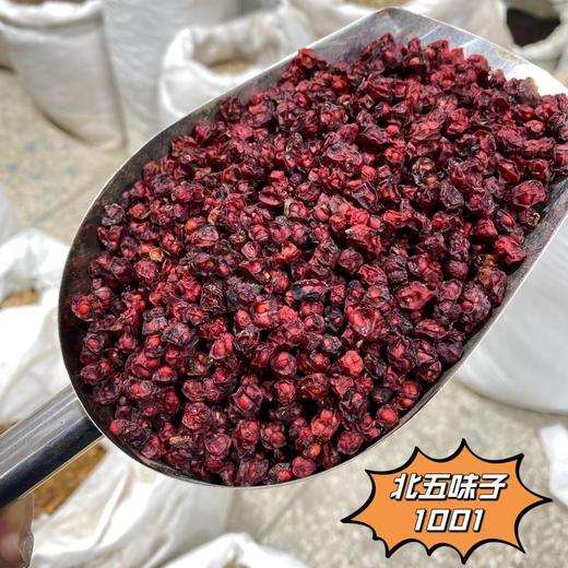 北五味 南五味  常用规格 五味子 商品图2