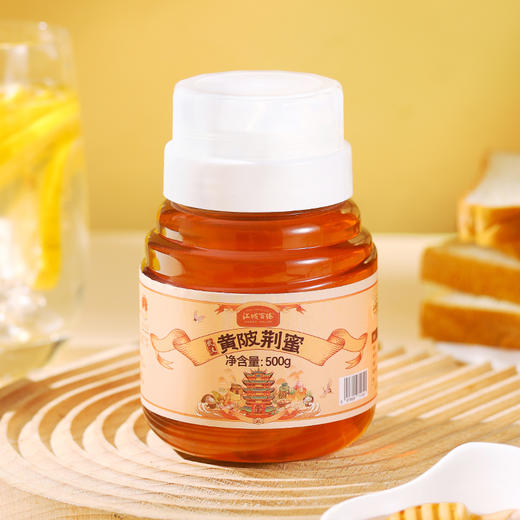 【助农】江城百臻黄陂荆蜜500g 商品图1